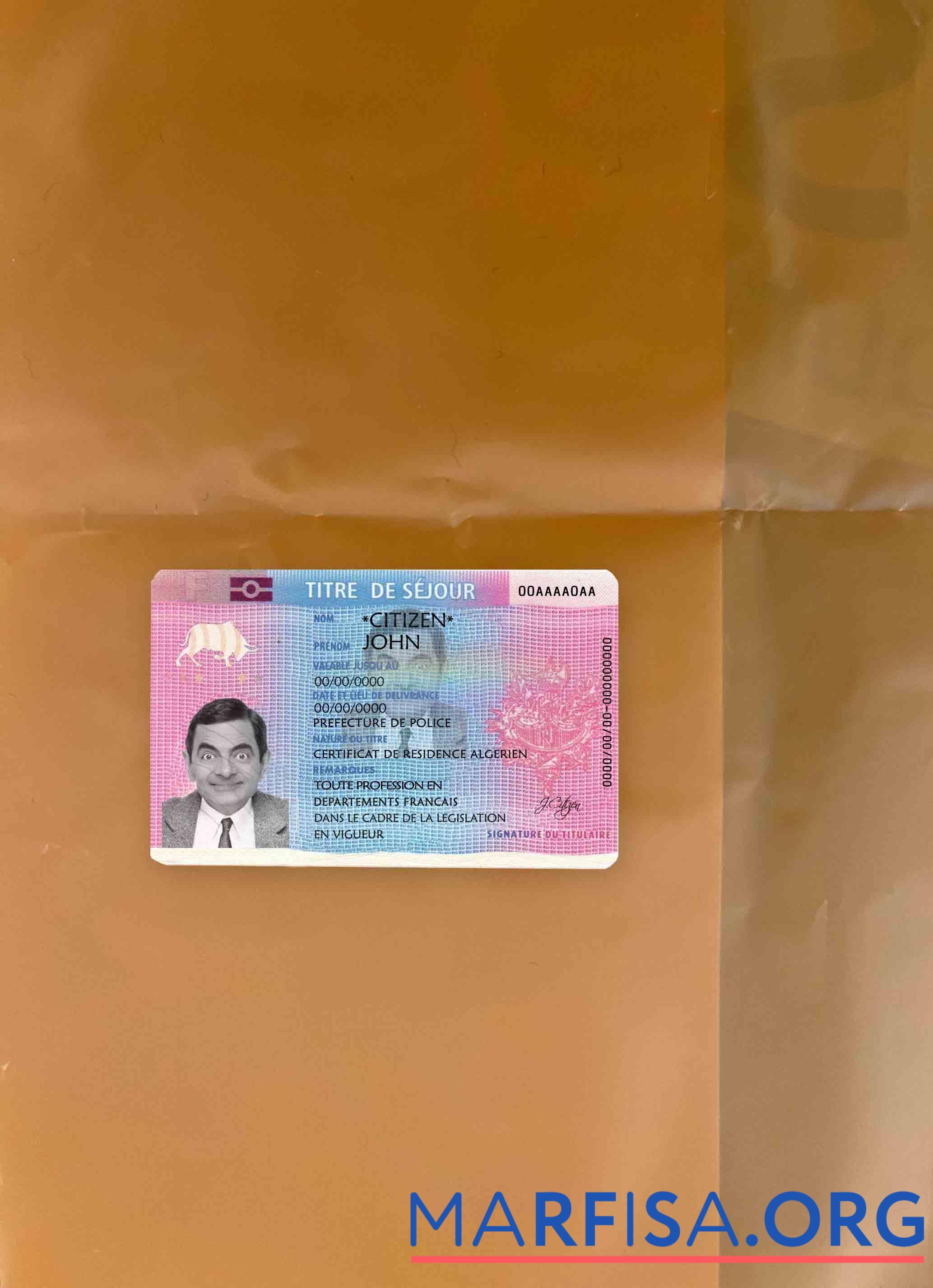 Realistic France Residence permit (Titre de séjour) photolook FRONT download for verification